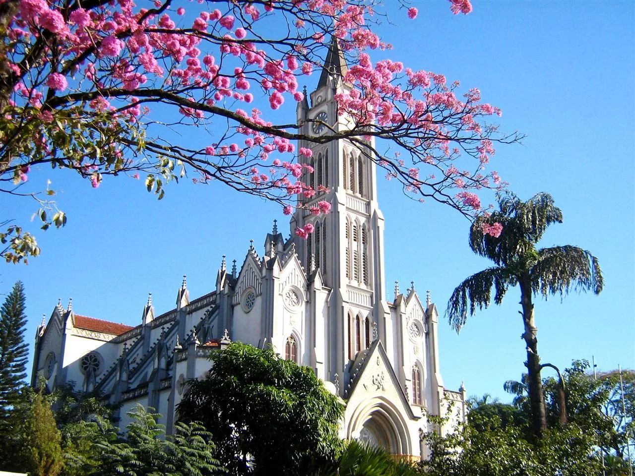 
  Por que eu amo esta cidade?