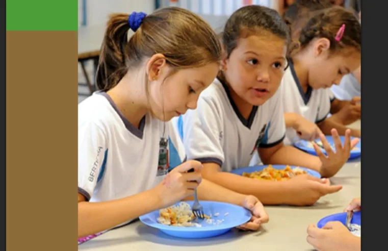Fiscalização do TCE flagra irregularidades graves na merenda escolar em SP