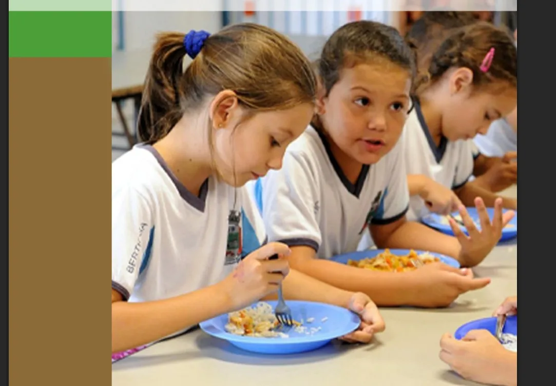 
  Fiscalização do TCE flagra irregularidades graves na merenda escolar em SP