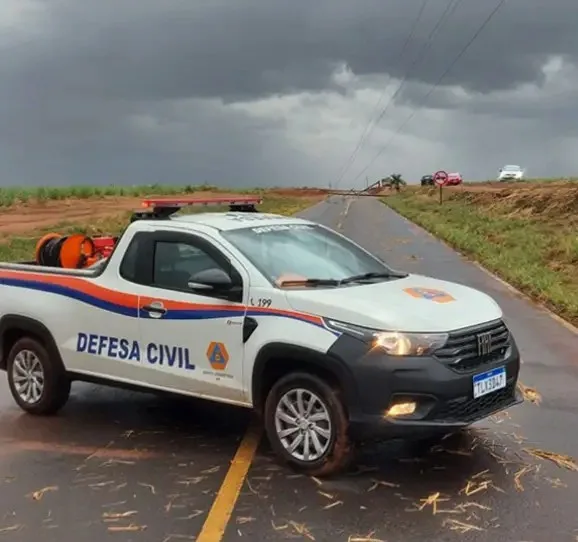 
  Postes caem sobre pista e interditam acesso da rodovia entre Santa Ernestina e Dobrada