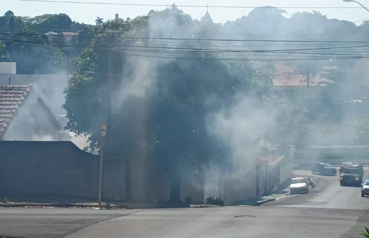 Fogo em mato provoca susto e muita fumaça na esquina das ruas Líbero Badaró e Bernardino Sampaio