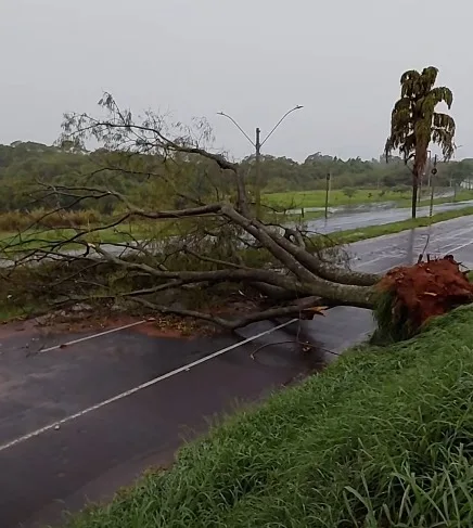 Chuva forte causa transtornos na região: estrada entre Santa Ernestina e Taquaritinga é interditada e Matão enfrenta enchentes e quedas de árvores