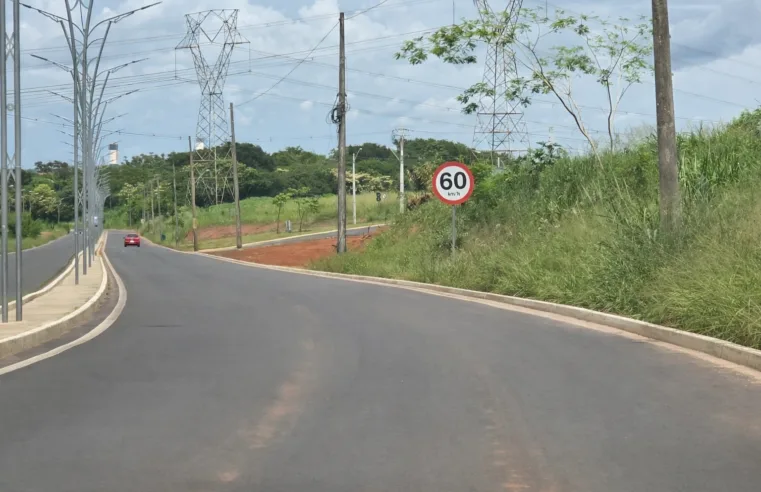 O CIMENTO OU O MATO?