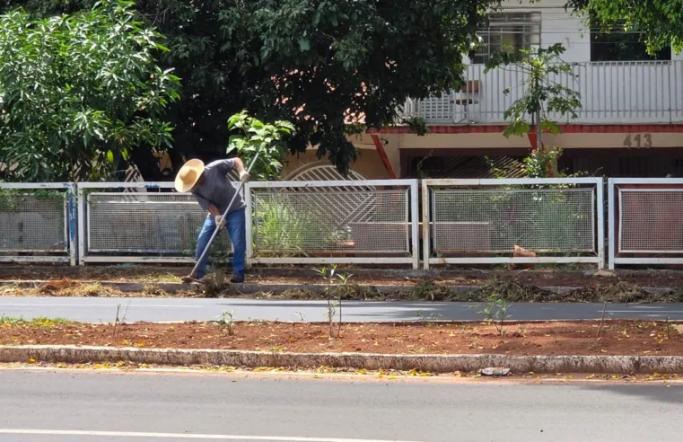 Empresários assumem zeladoria urbana diante da omissão do poder público
