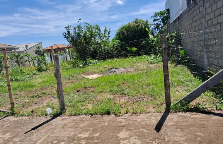 Munícipe é notificado por mato alto em terreno que estaria limpo enquanto áreas públicas seguem abandonadas