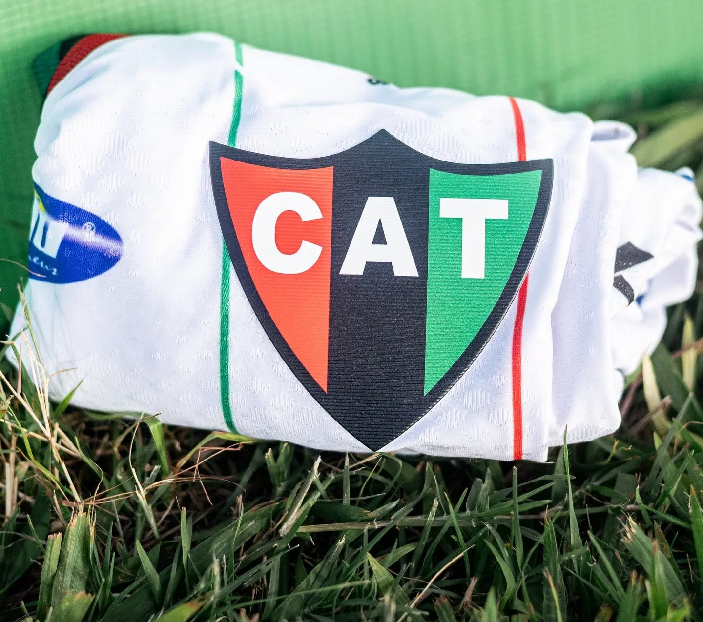 
  “O Leão caiu de pé e rugindo alto”