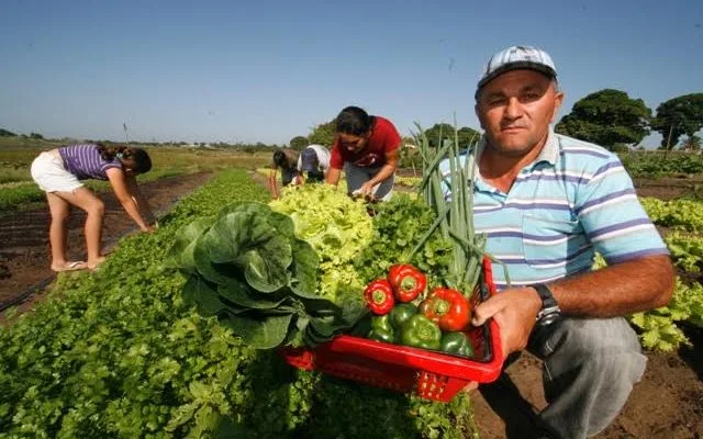 Produtores rurais de Taquaritinga podem participar de edital do PAA até 15 de setembro